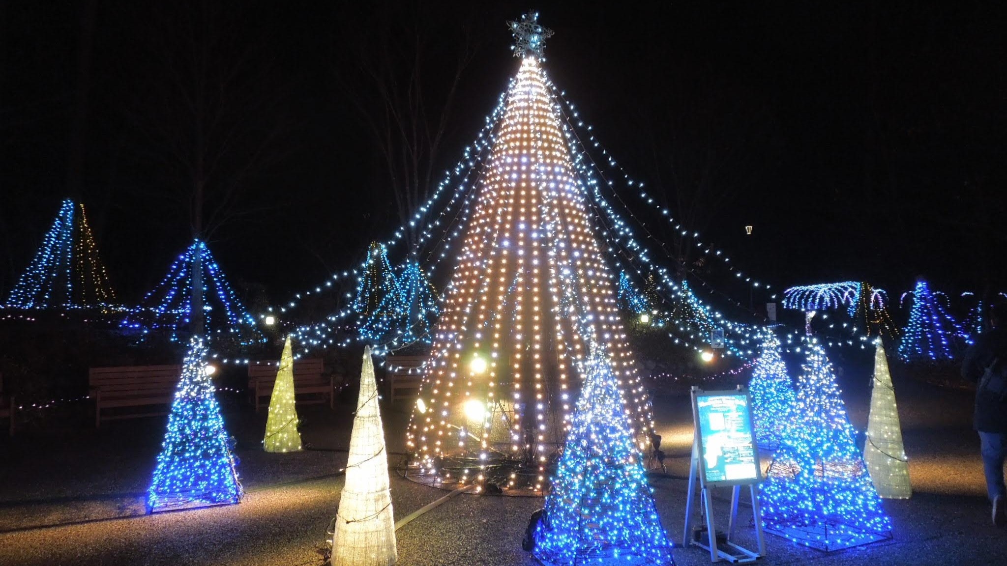 【クリスマスプラン】安曇野で過ごす煌めく夜の旅★こだわりの紅茶とチョコレートとともに！（1泊2食）