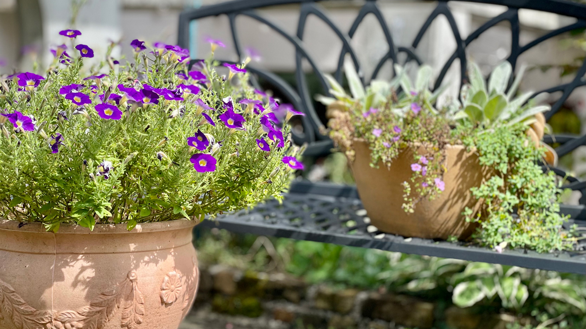 【こもれびテラス】Moegi HOTELのシェードガーデン