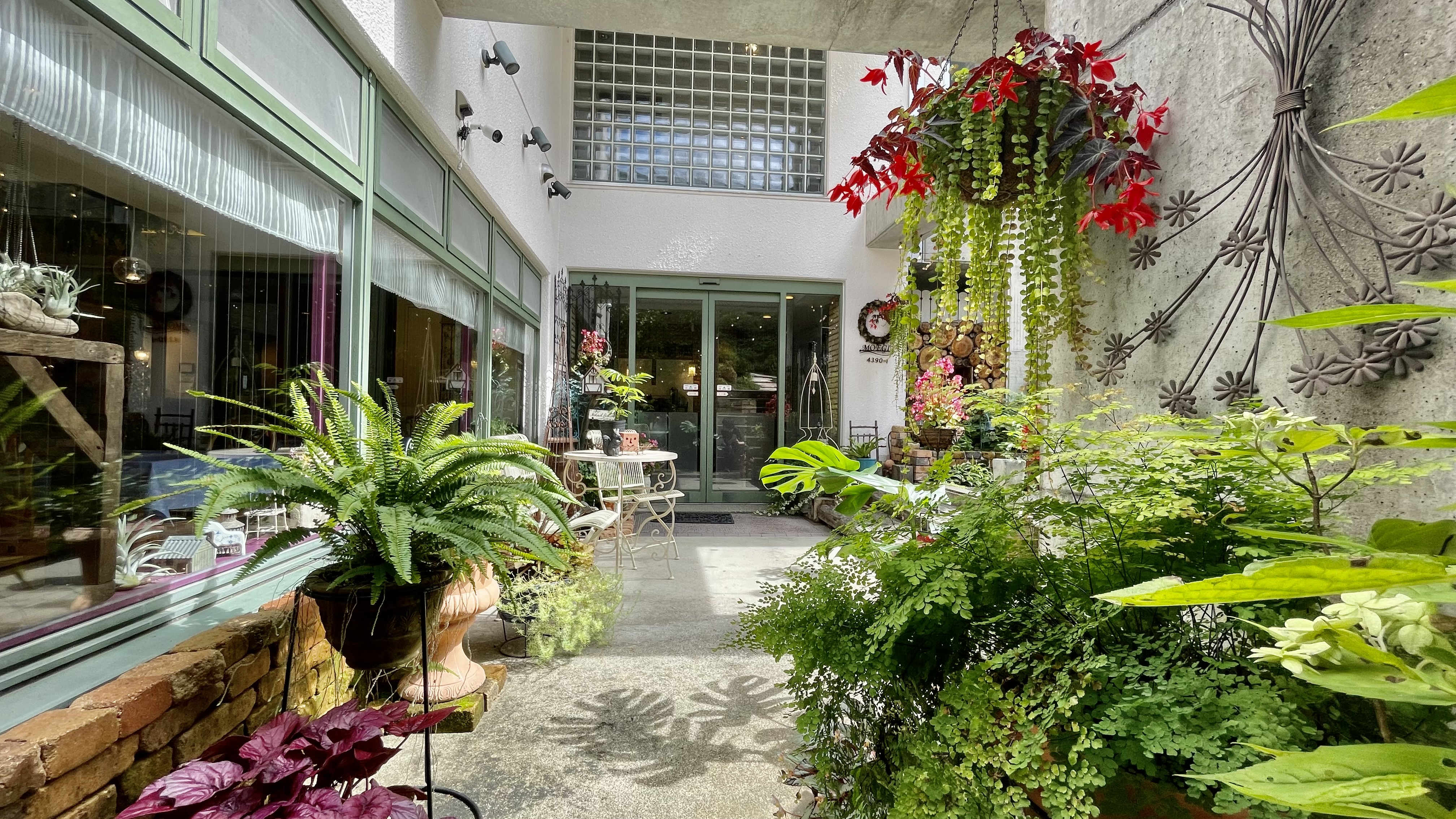 【エントランス】夏のエントランス