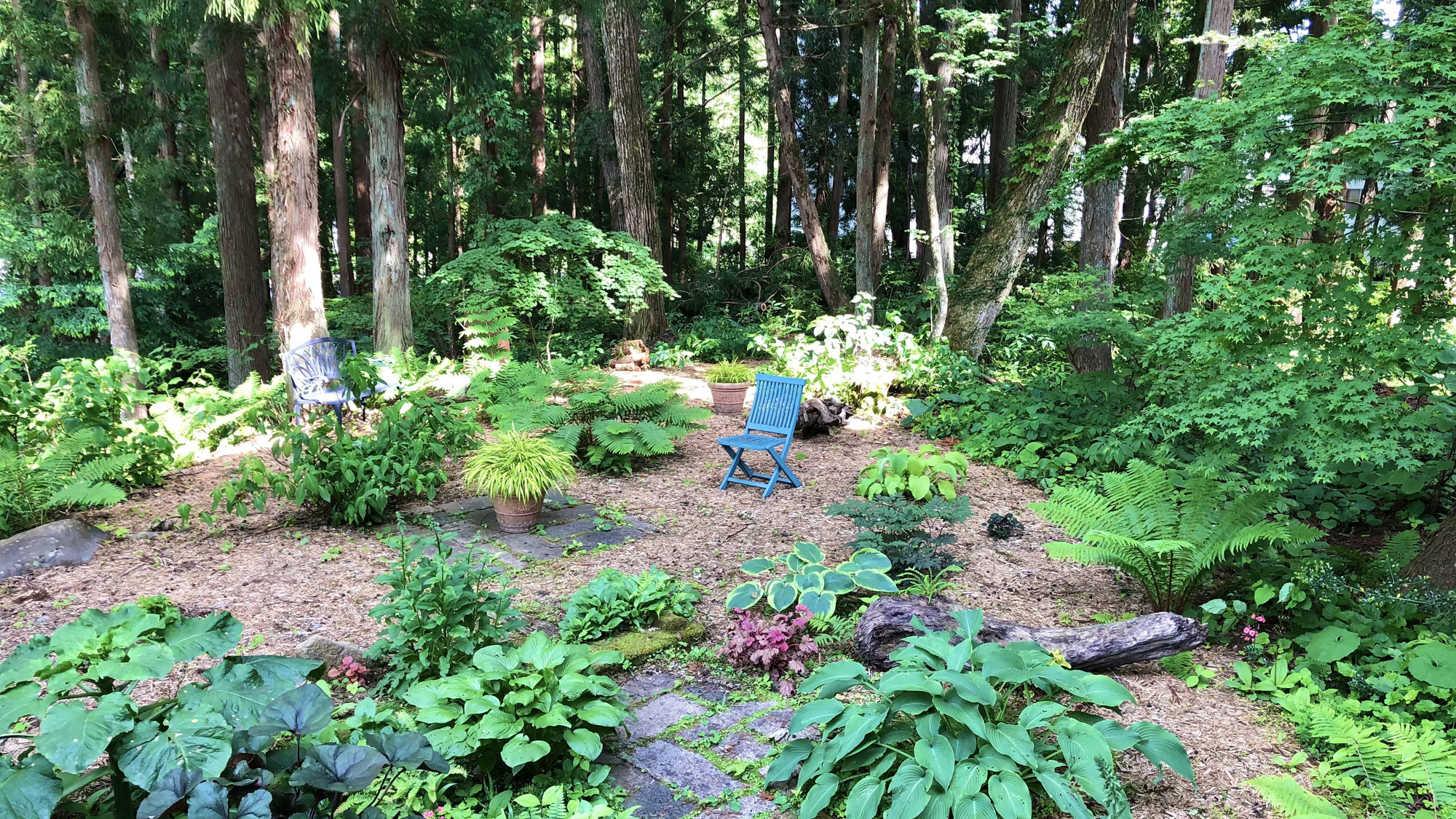 【こもれびテラス】Moegi HOTELのシェードガーデン