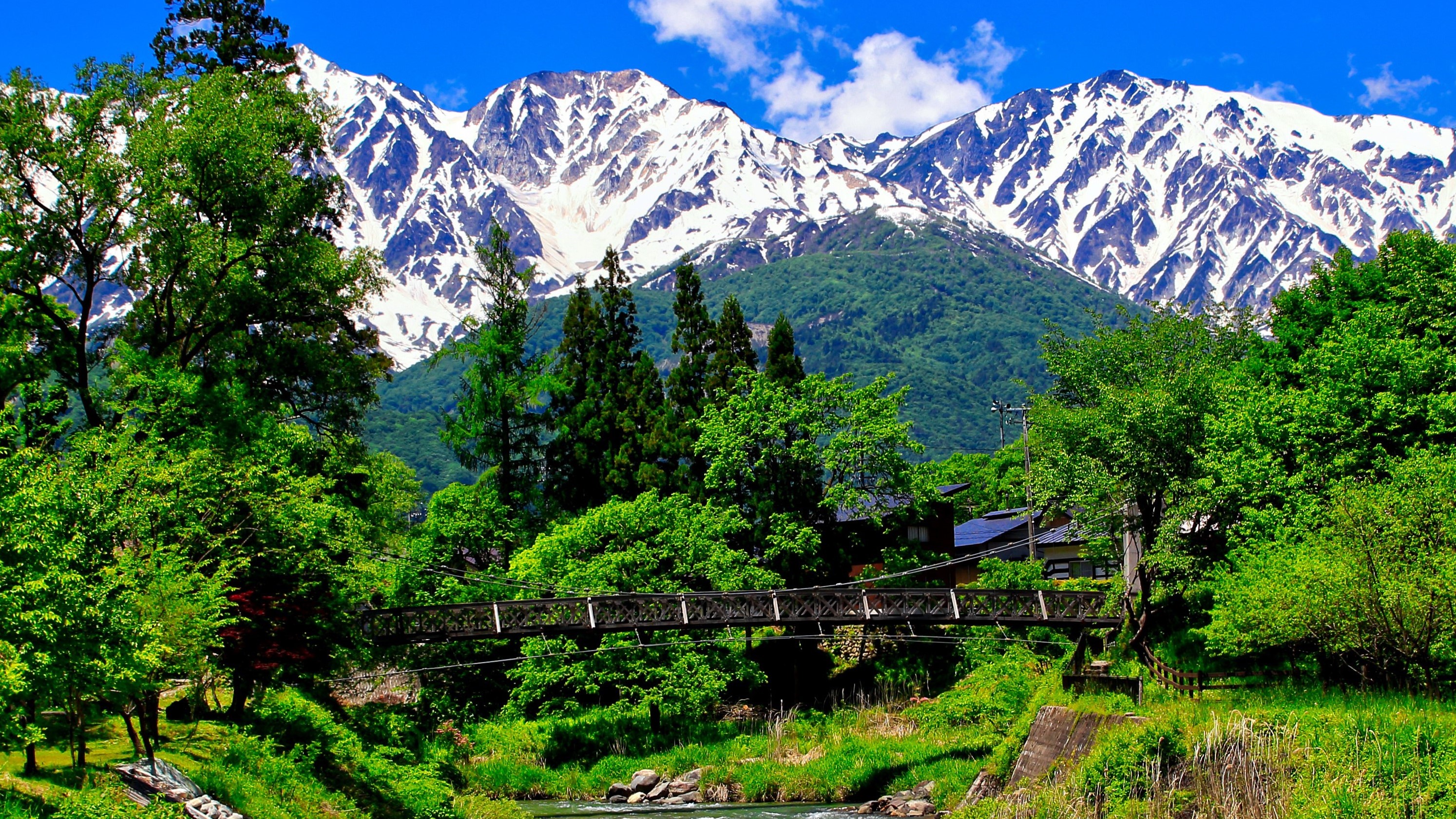 【大出吊橋（6月～7月）】