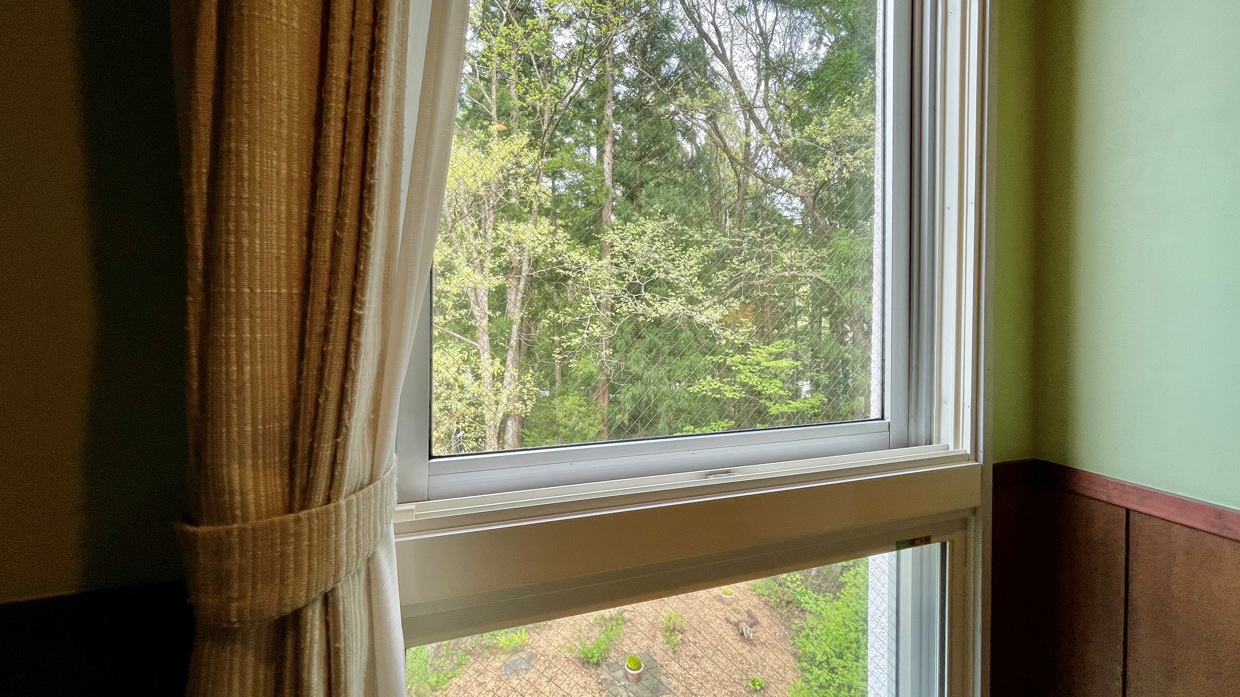 【スタンダードBルーム】スタンダードBルーム一例