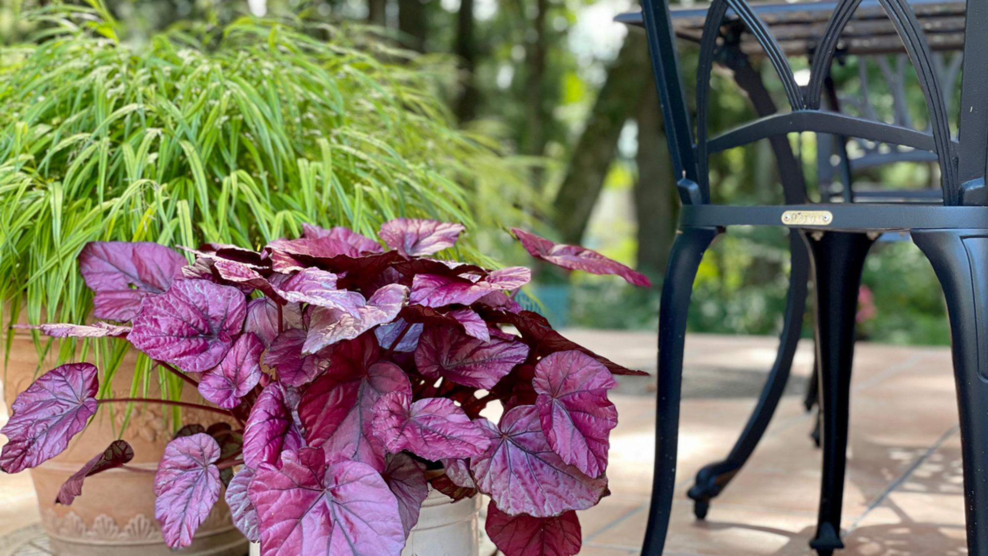 【こもれびテラス】Moegi HOTELのシェードガーデン