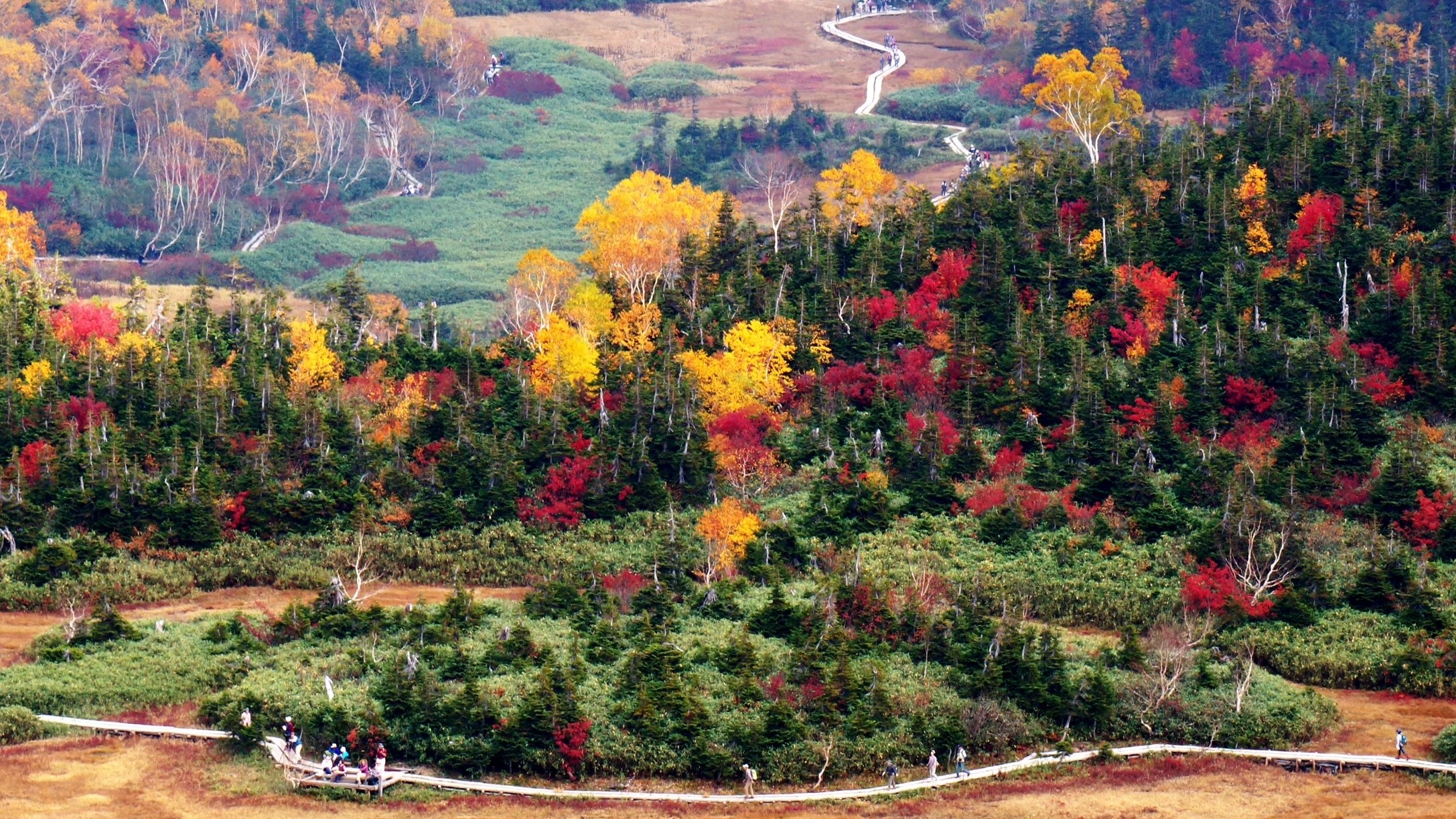 【栂池自然園（10月）】