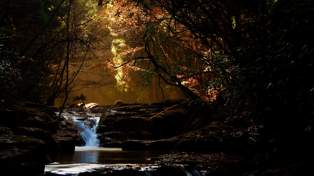 【60歳以上限定プラン】赤目四十八滝へ、あの日の記憶に会いに行く季節のスタンダード会席と特典付癒し旅