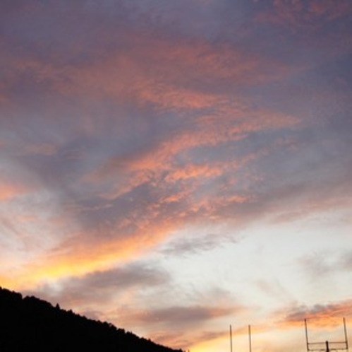 夕暮れ■樹冠に日が落ちる