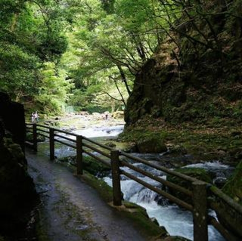 赤目四十八滝■渓谷の散策道■森林浴
