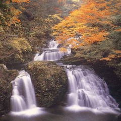 赤目四十八滝■荷担滝■秋の頃