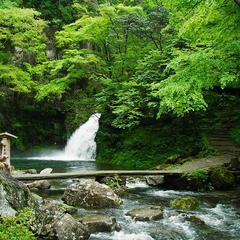 赤目四十八滝■千手滝■森林浴