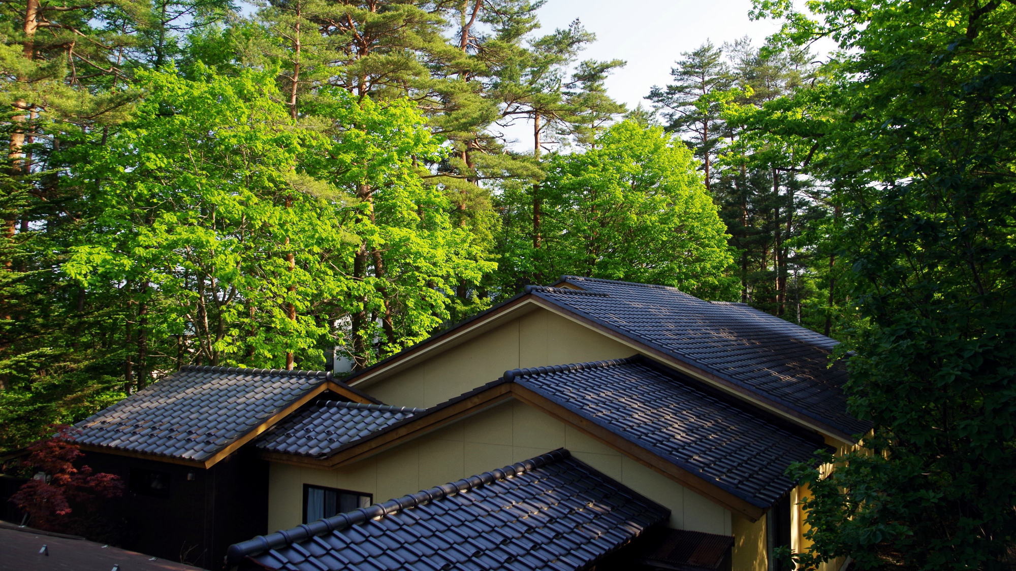 大浴場　建物