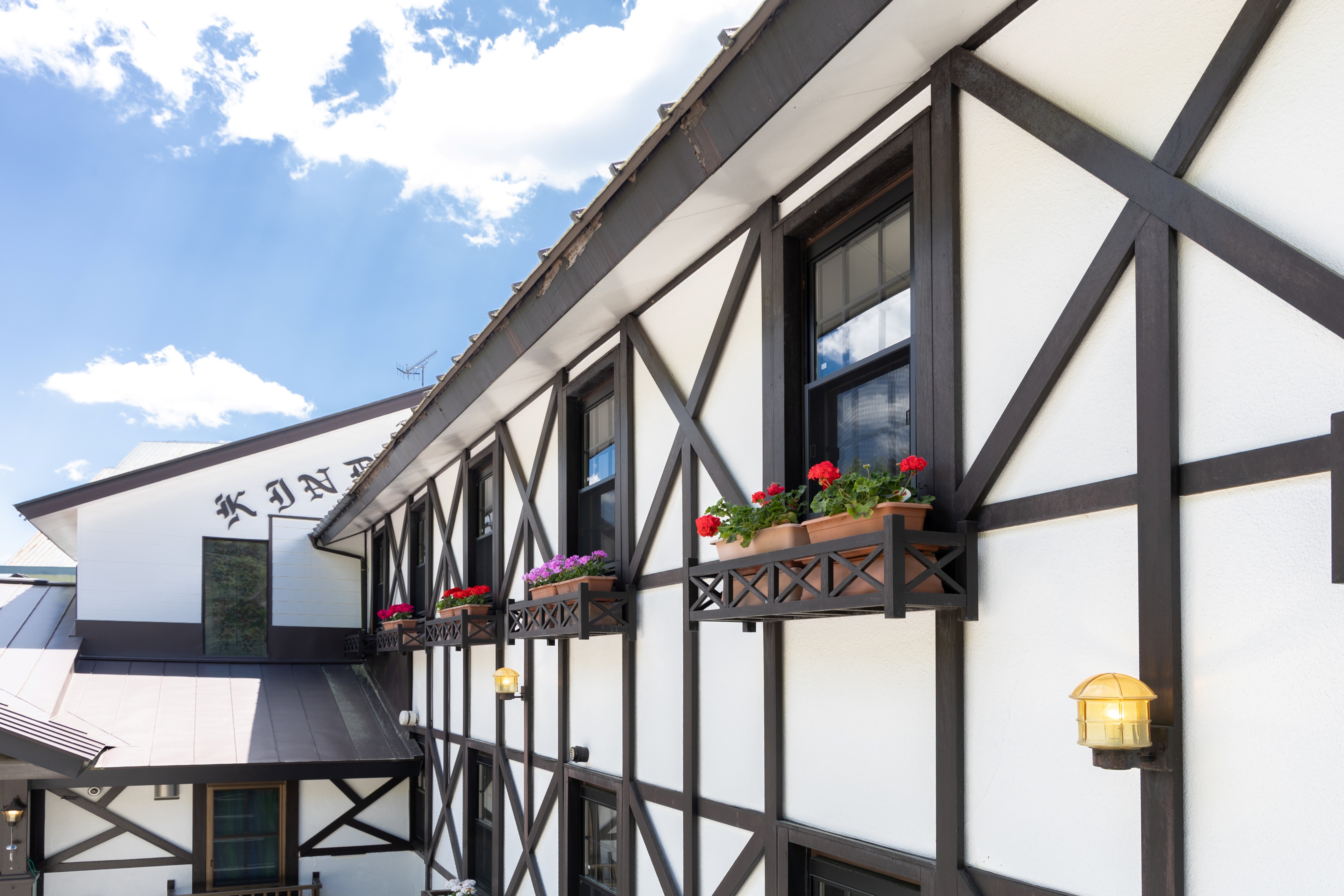 きんだいペンション　夏の花