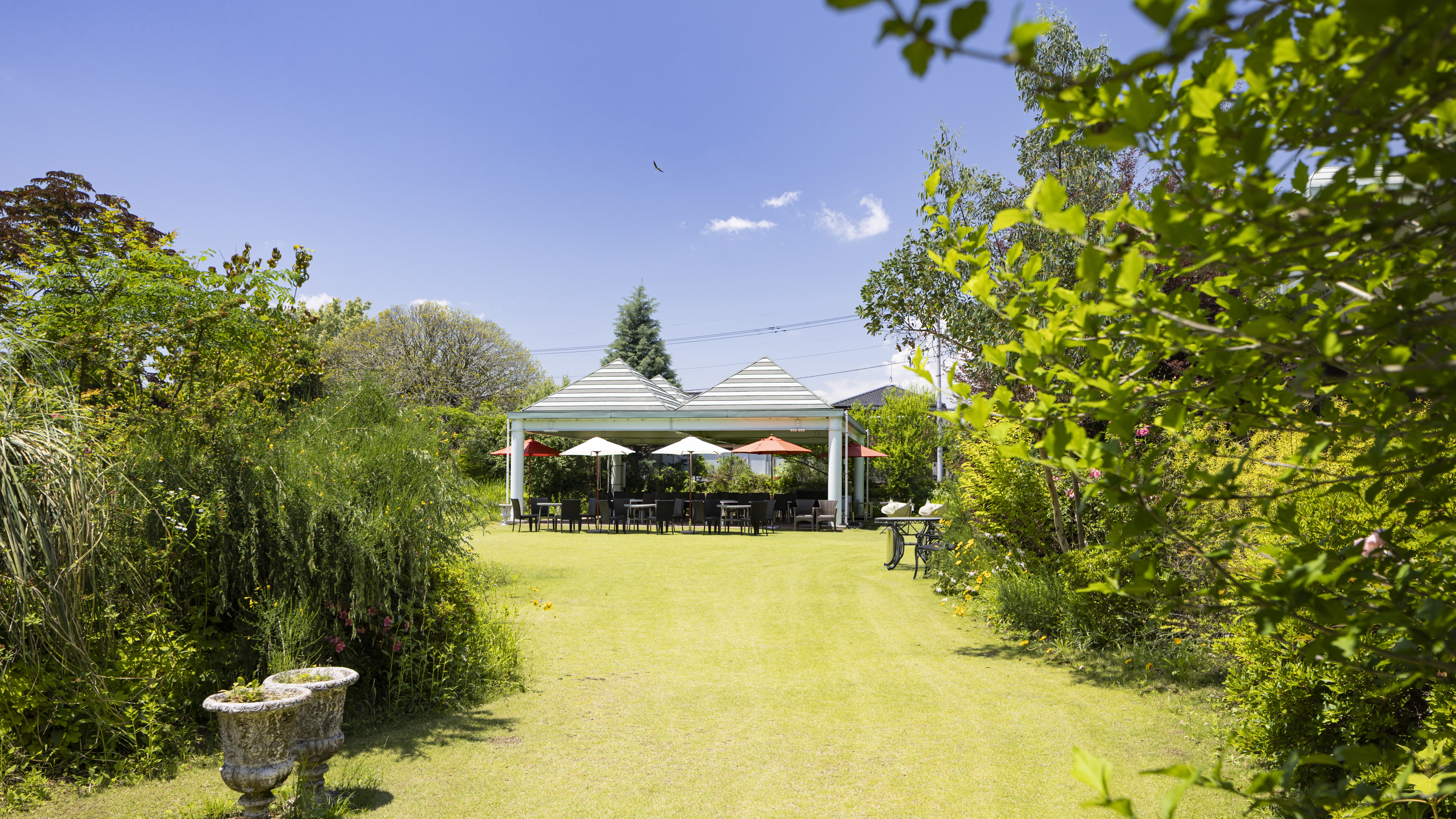 ファウンテンテラス5