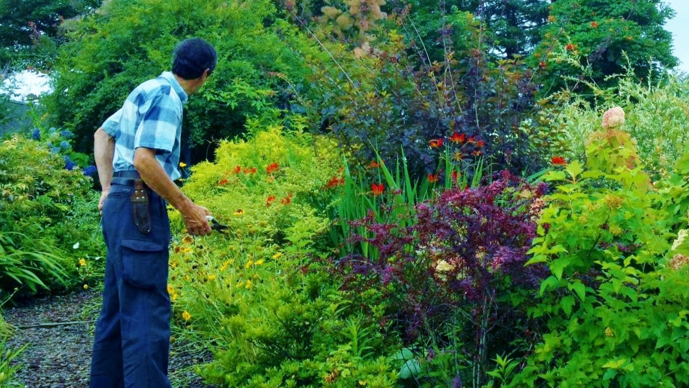 グロッセリュック氏