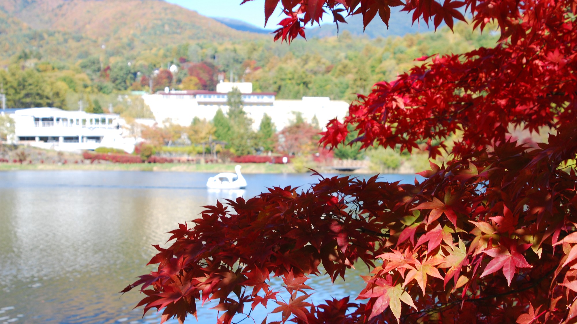 紅葉の蓼科湖