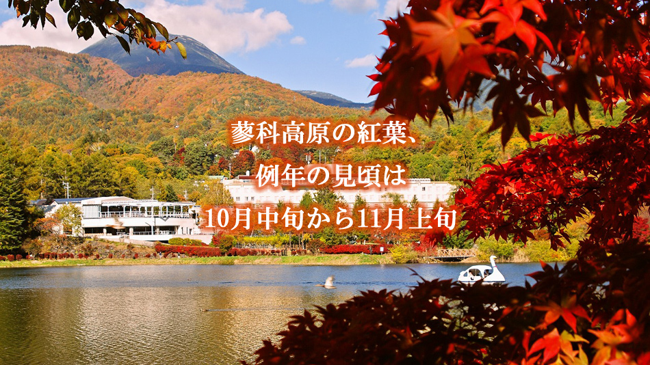 リゾートホテル蓼科 宿泊予約 楽天トラベル リゾートホテル蓼科 宿泊予約 楽天トラベル