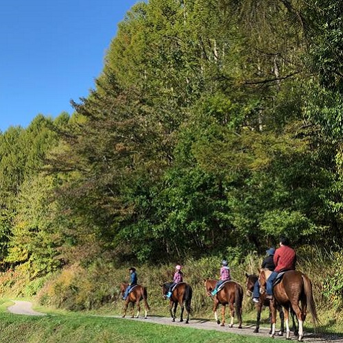  蓼科乗馬ファーム－蓼科高原で皆で楽しく乗馬ができる施設です
