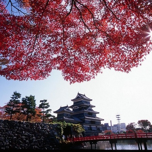■秋の国宝松本城　北アルプスとのコントラストもきれいです