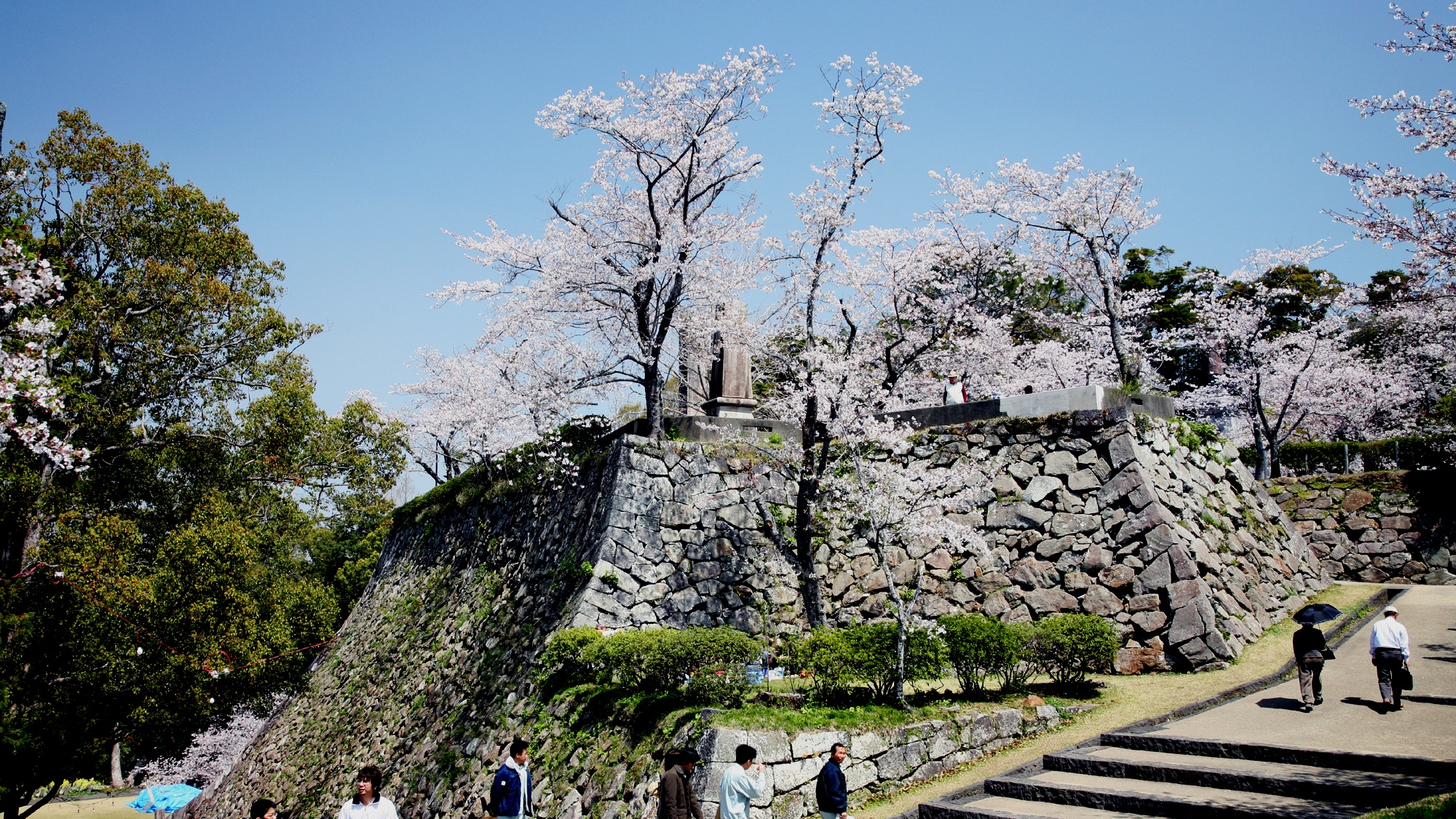 *【周辺】城山の石垣と桜 