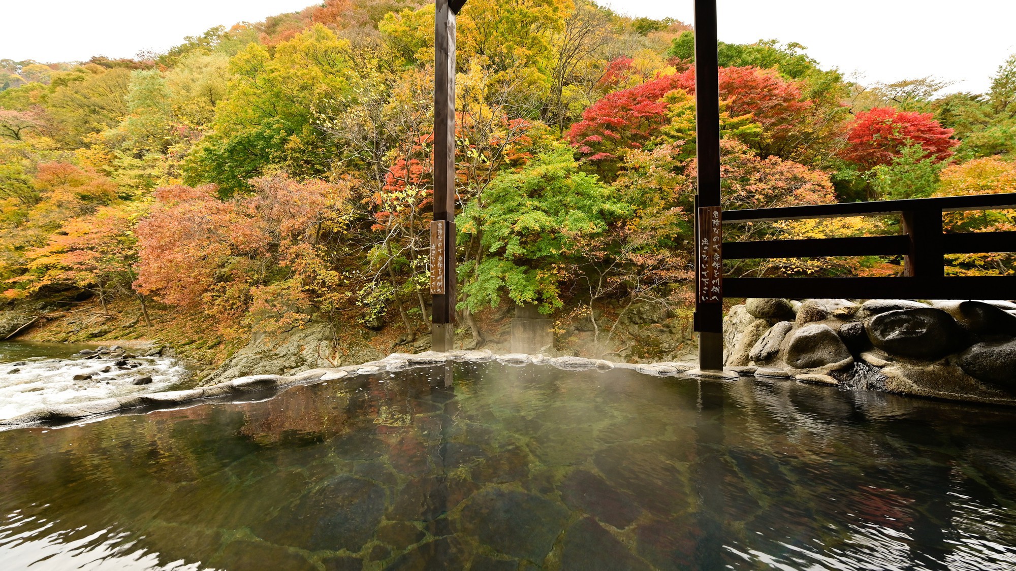 男性大浴場「仙人の湯」露天風呂　紅葉の時期