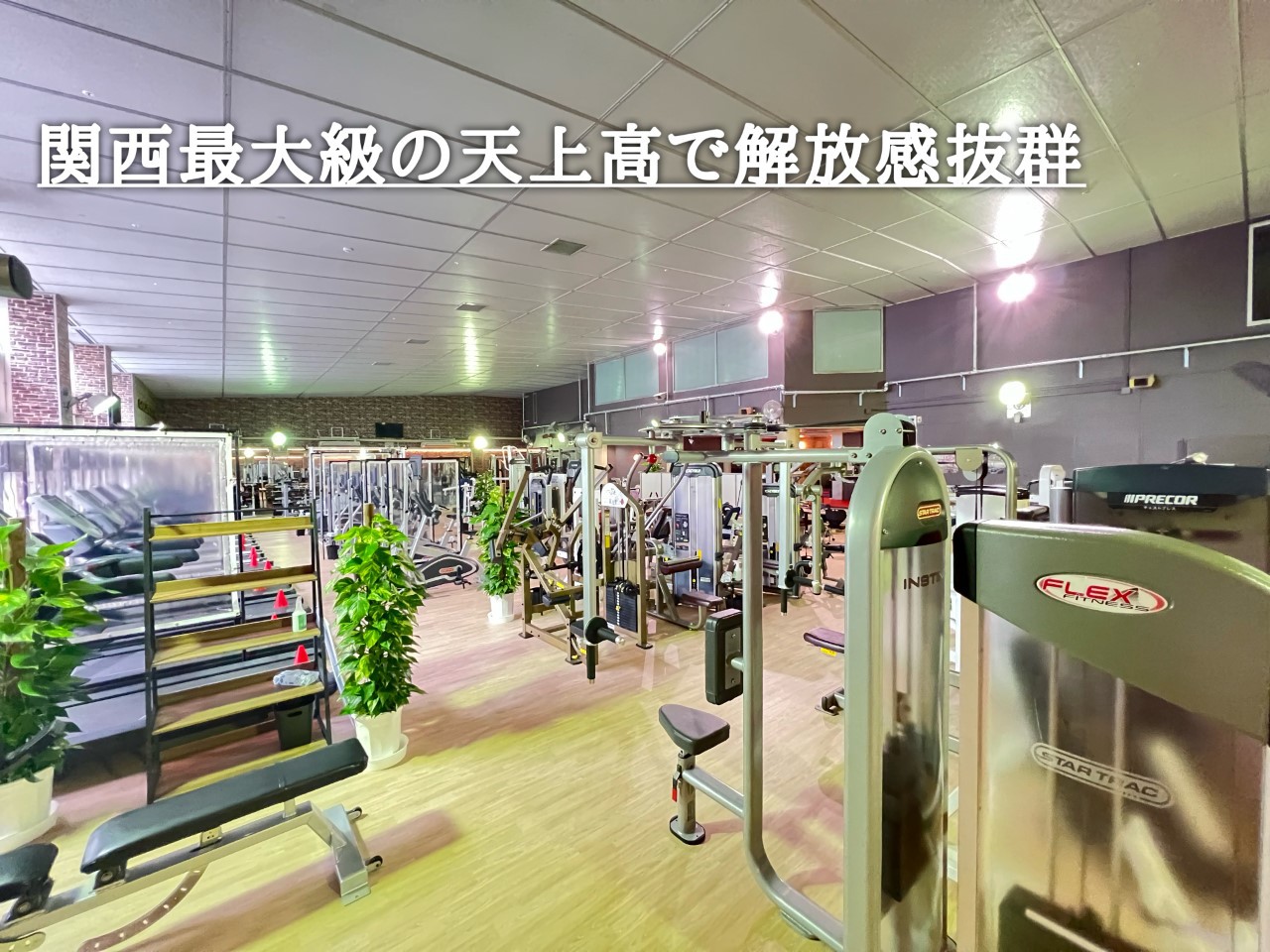 【楽天スーパーSALE】ジム・サウナ付き宿泊プラン【ゴールドジム草津滋賀店】朝食付