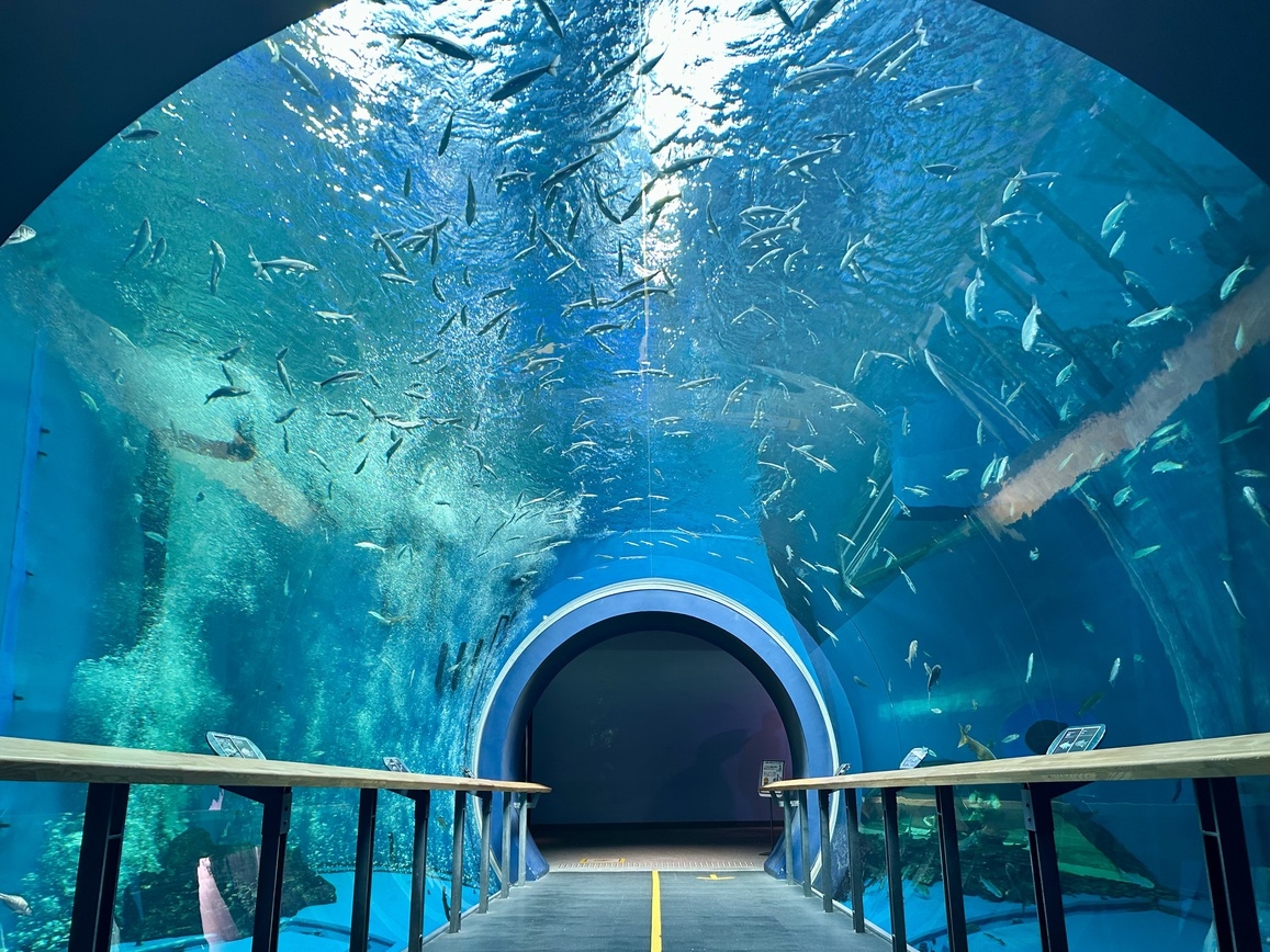 【朝食バイキング付き】琵琶湖博物館「ナイトミュージアム」観覧券付き特別宿泊プラン