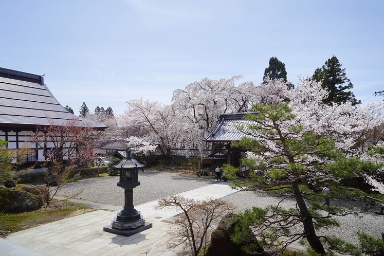 高社山さくらの里　谷厳寺