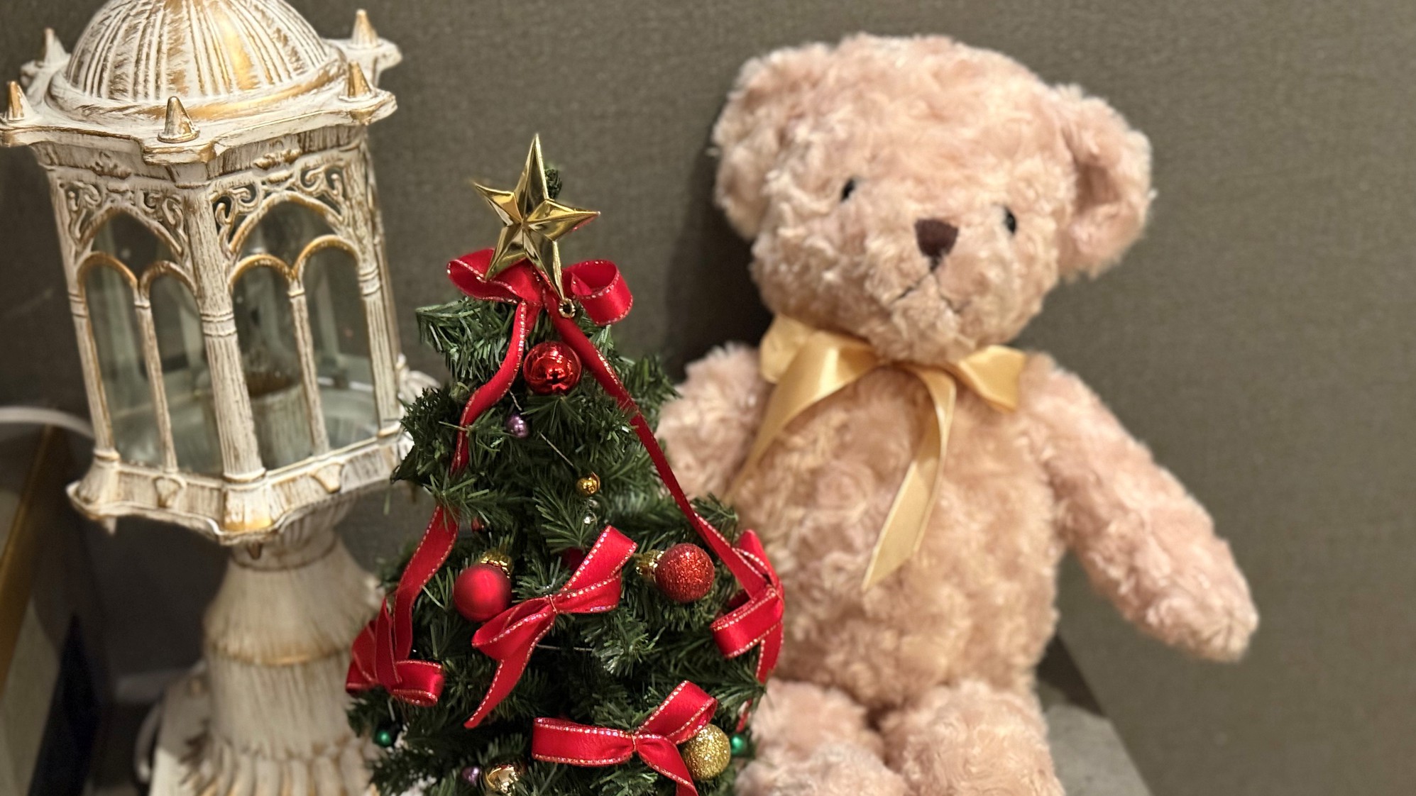 大人クリスマスナイト