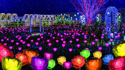 【冬のイルミネーションを満喫・素泊り】あしかがフラワーパーク  光の花の庭 2025 入場券付プラン