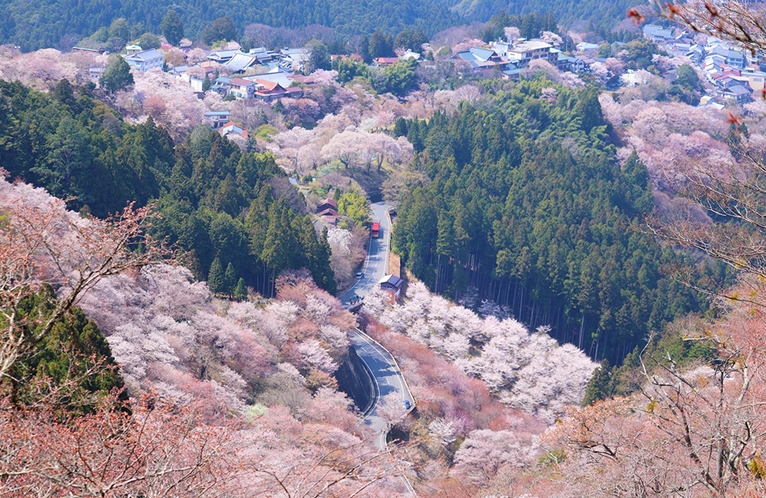 吉野山の観桜にも便利