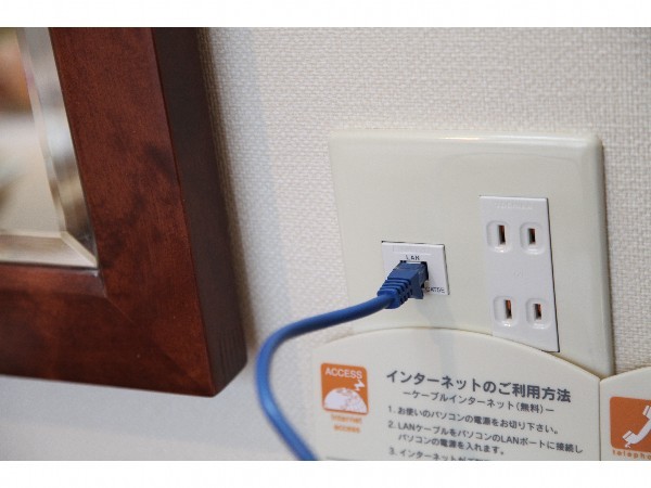 Wired / wireless LAN