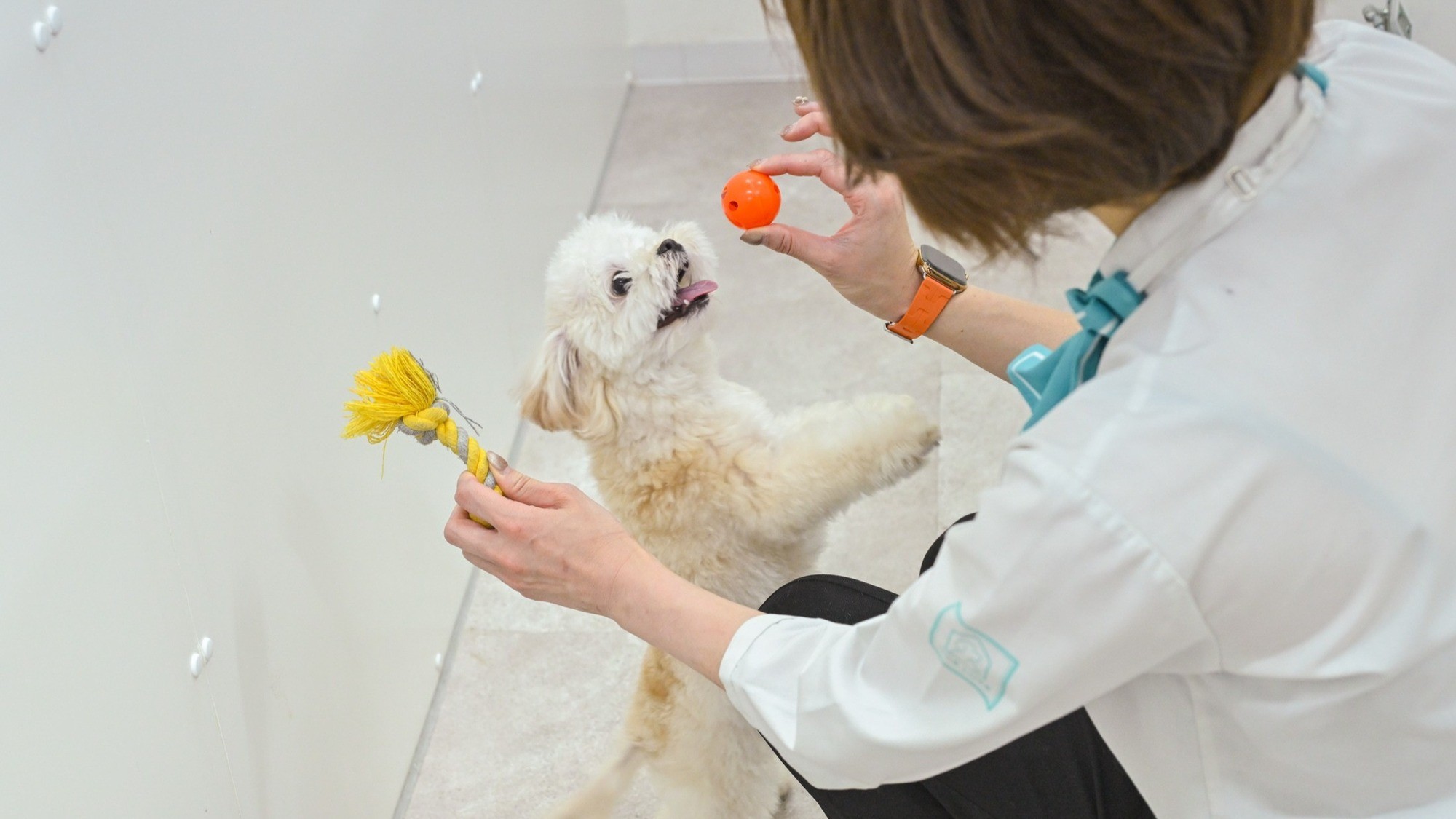 【レイトアウト】ワンコと朝からまた一緒旅 〜ワンルークの割引クーポン付き〜＜ブッフェ朝食付＞