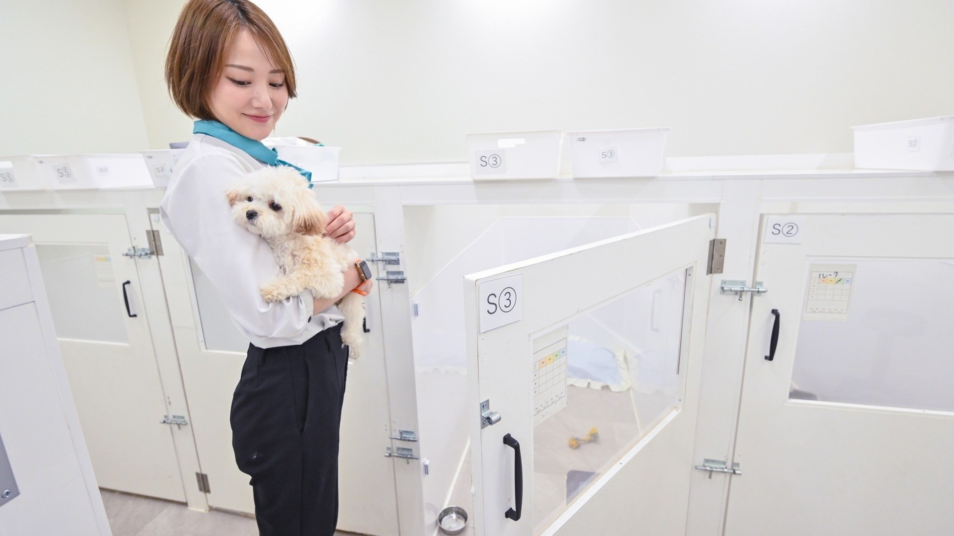 【レイトアウト】ワンコと朝からまた一緒旅 〜ワンルークの割引クーポン付き〜＜素泊まり＞