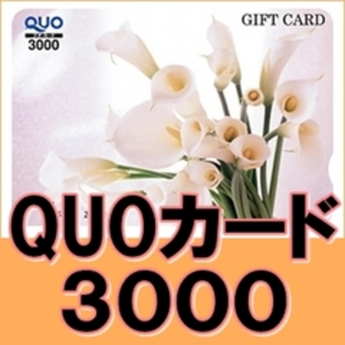 クオカード3000円分付き