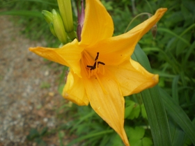 駒ヶ根高原 駒ヶ根ハイランドホテル 格安予約 宿泊プラン料金比較 トラベルコ 駒ヶ根高原 駒ヶ根ハイランドホテル 格安予約 宿泊プラン料金比較 トラベルコ