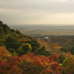 ■風景■