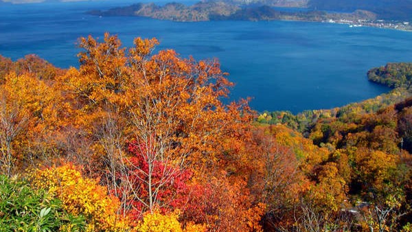 紅葉の十和田湖も綺麗です