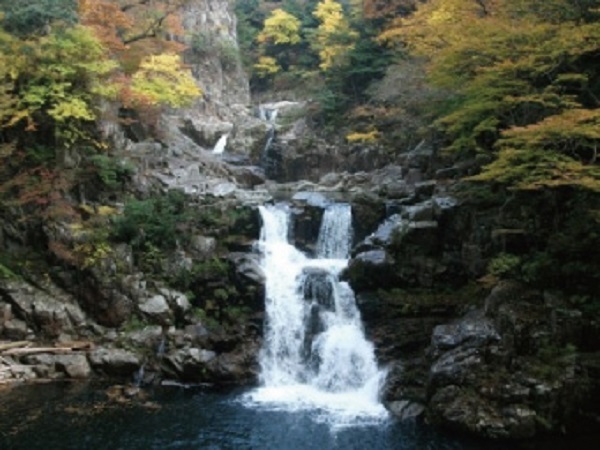 アーバイン広島エグゼクティブ - 写真 114