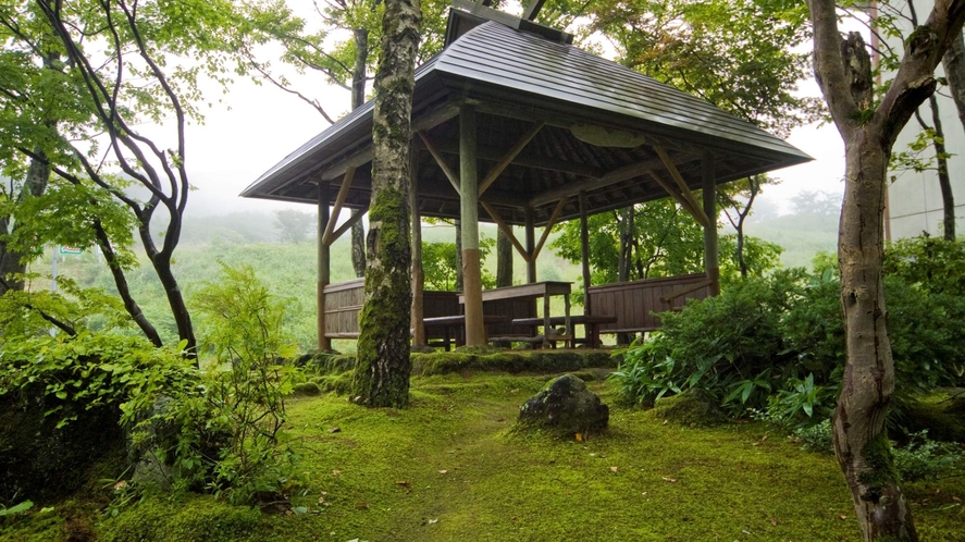 第2ロビーから見える中庭の風景