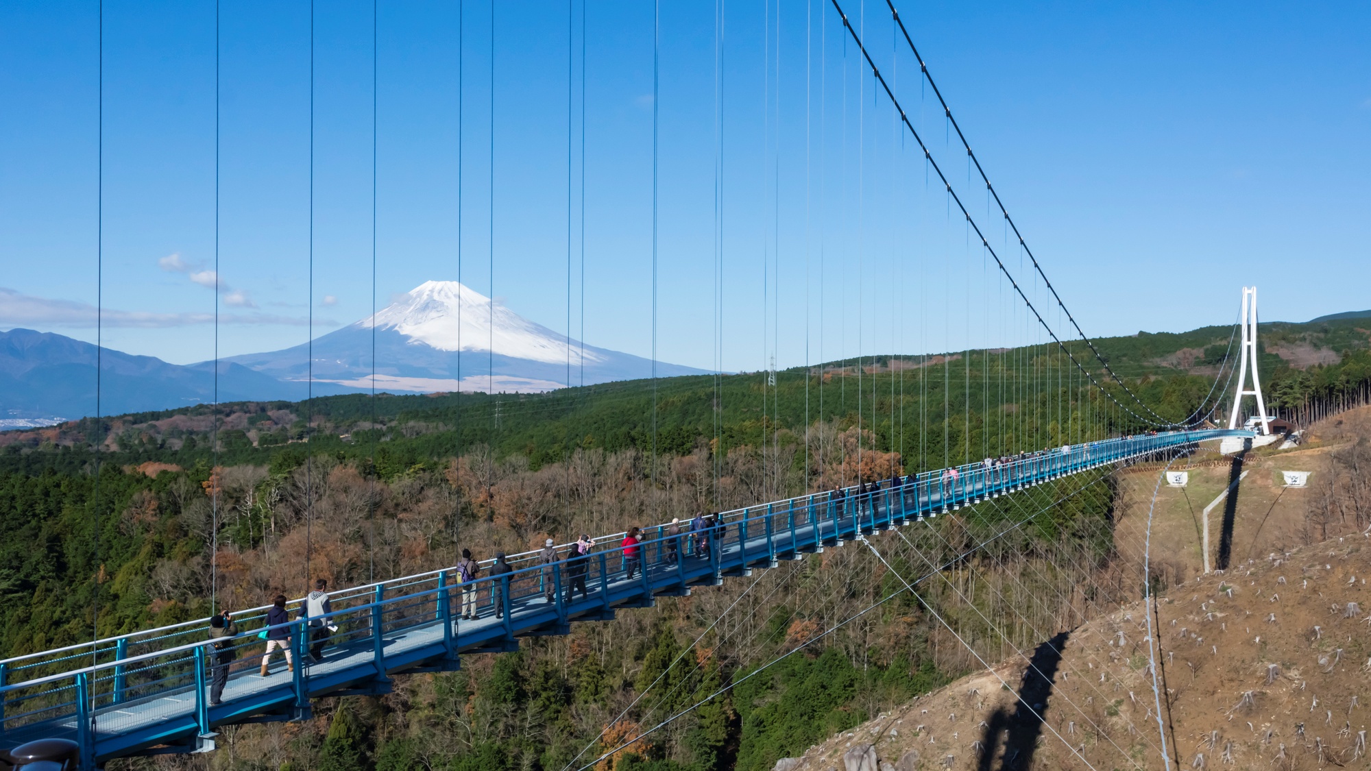 【当館から車で16分】日本一長い吊り橋から、富士山や駿河湾の絶景を望める「三島スカイウォーク」