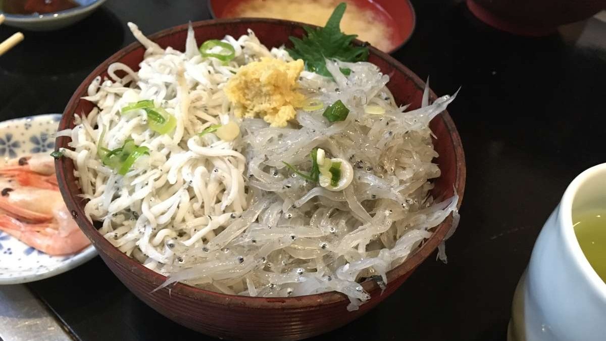 沼津港のしらす丼も絶品です！