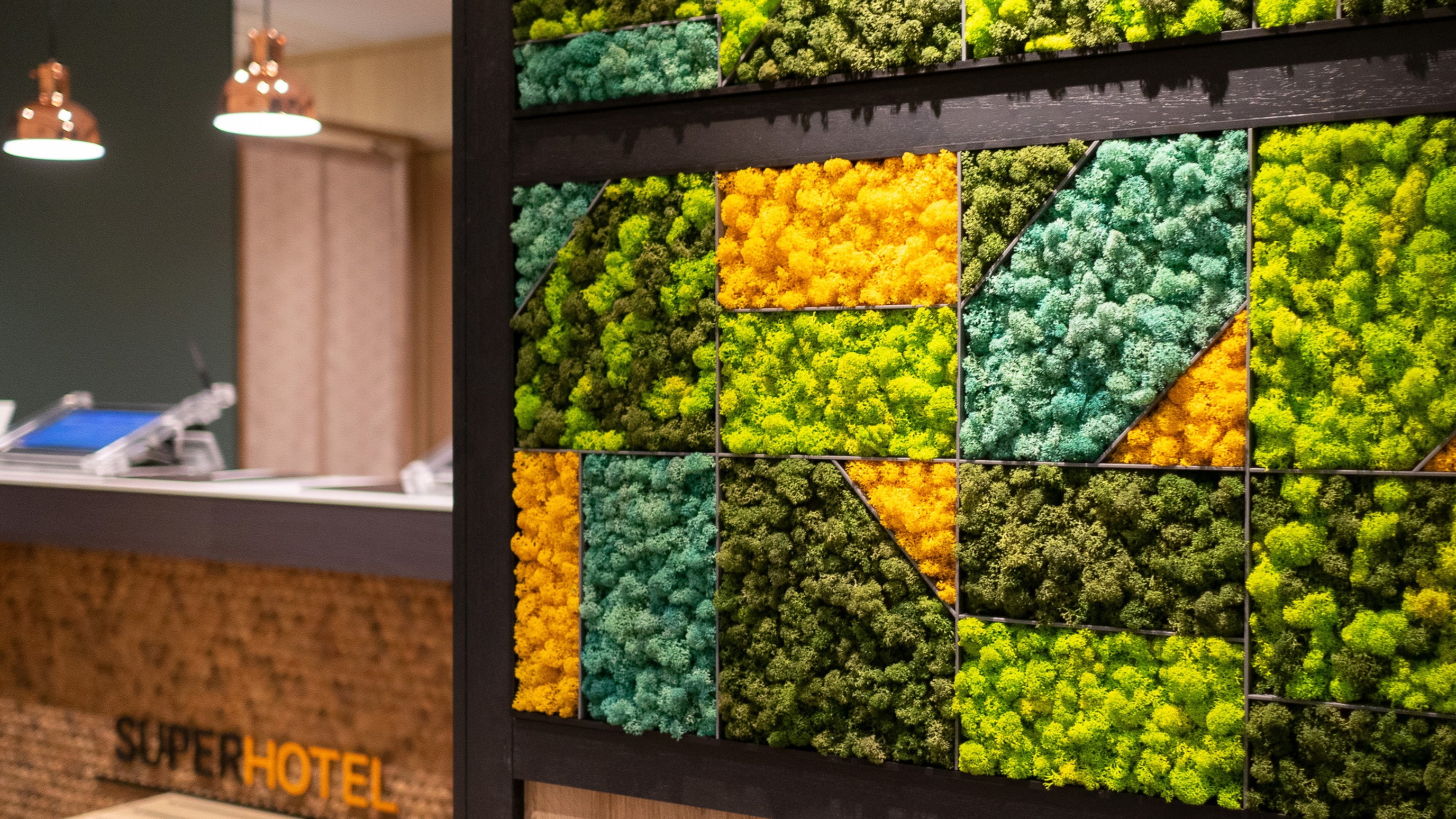 消臭や吸音効果がある天然のコケをインテリアに