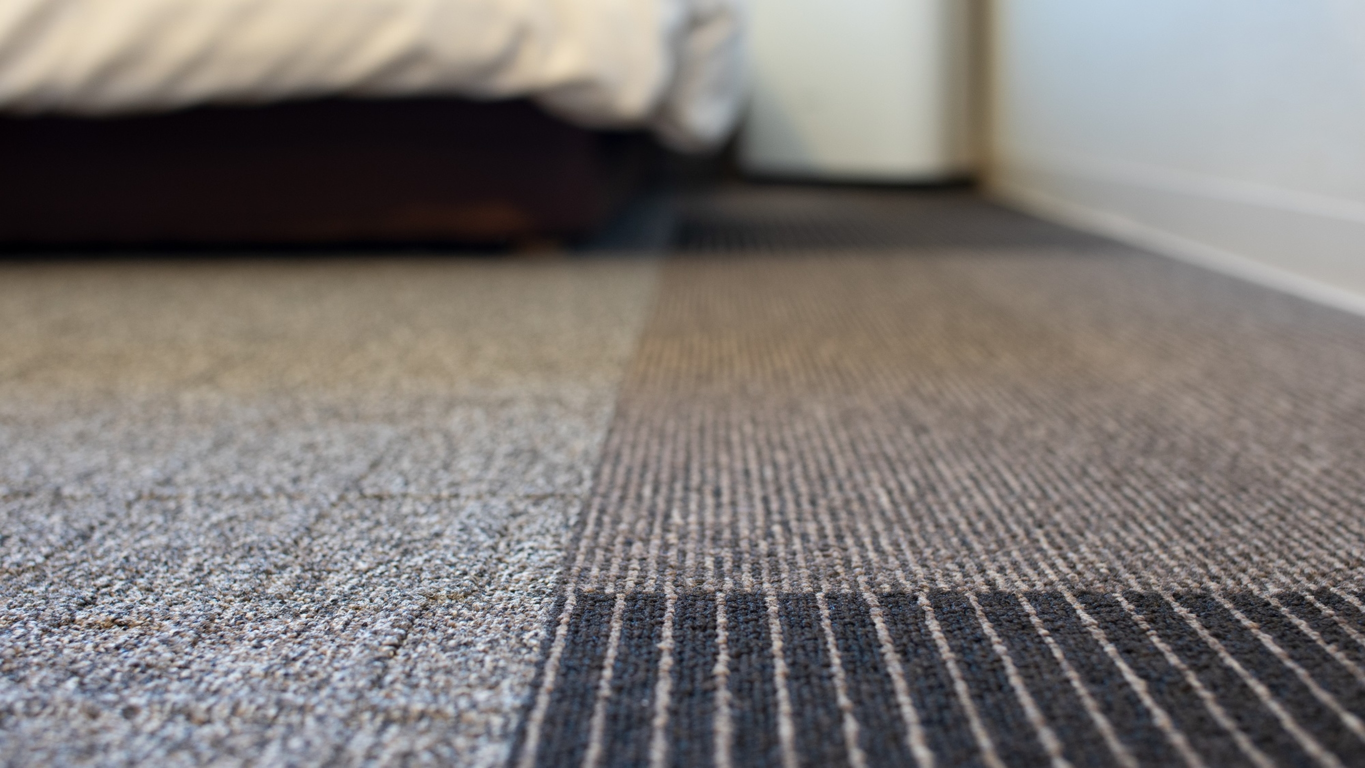 地球にやさしいリサイクルカーペット♪