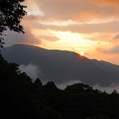 弓庵からの風景