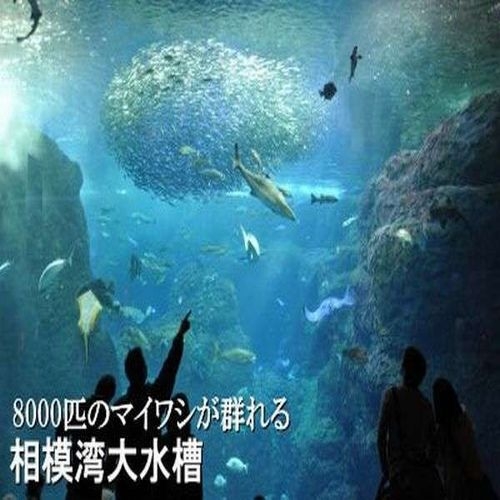 【5月限定】新江ノ島水族館の入館引き換え券（大人用）付き♪湘南の人気スポットへ行こう♪（食事なし）