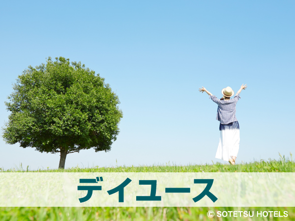 ﾃﾞｲﾕｰｽ