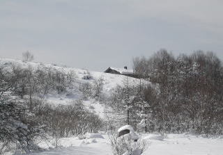 冬の鷲が峰ひゅって4