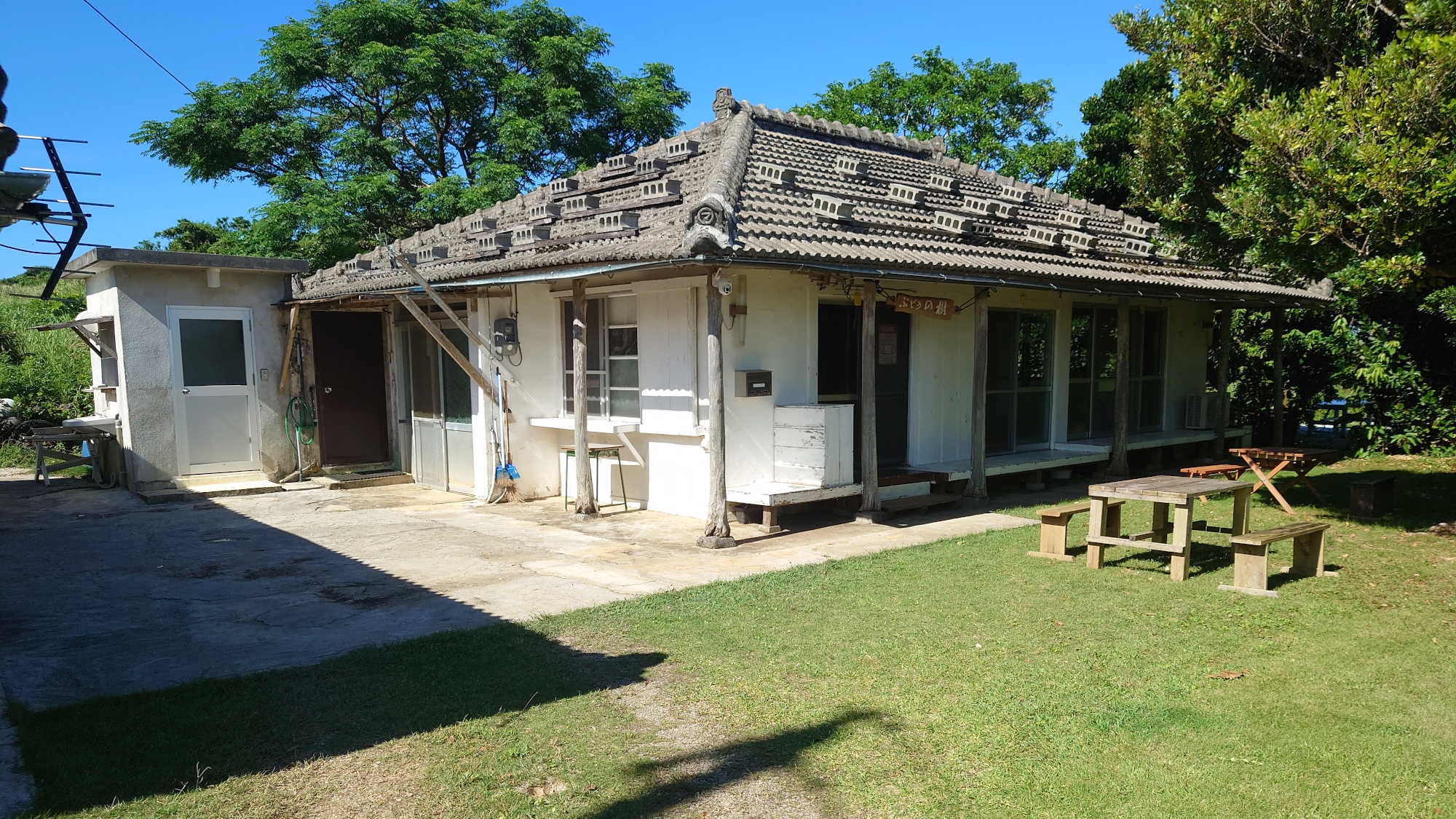 ＫＯＵＲＩＪＩＭＡ　ぶどうの樹＜古宇利島＞