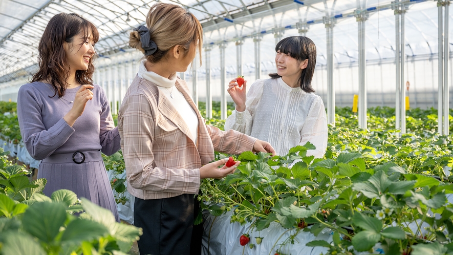 「どのいちごが大きいかな～」味だけでなく大きいいちごを探す楽しさも♪