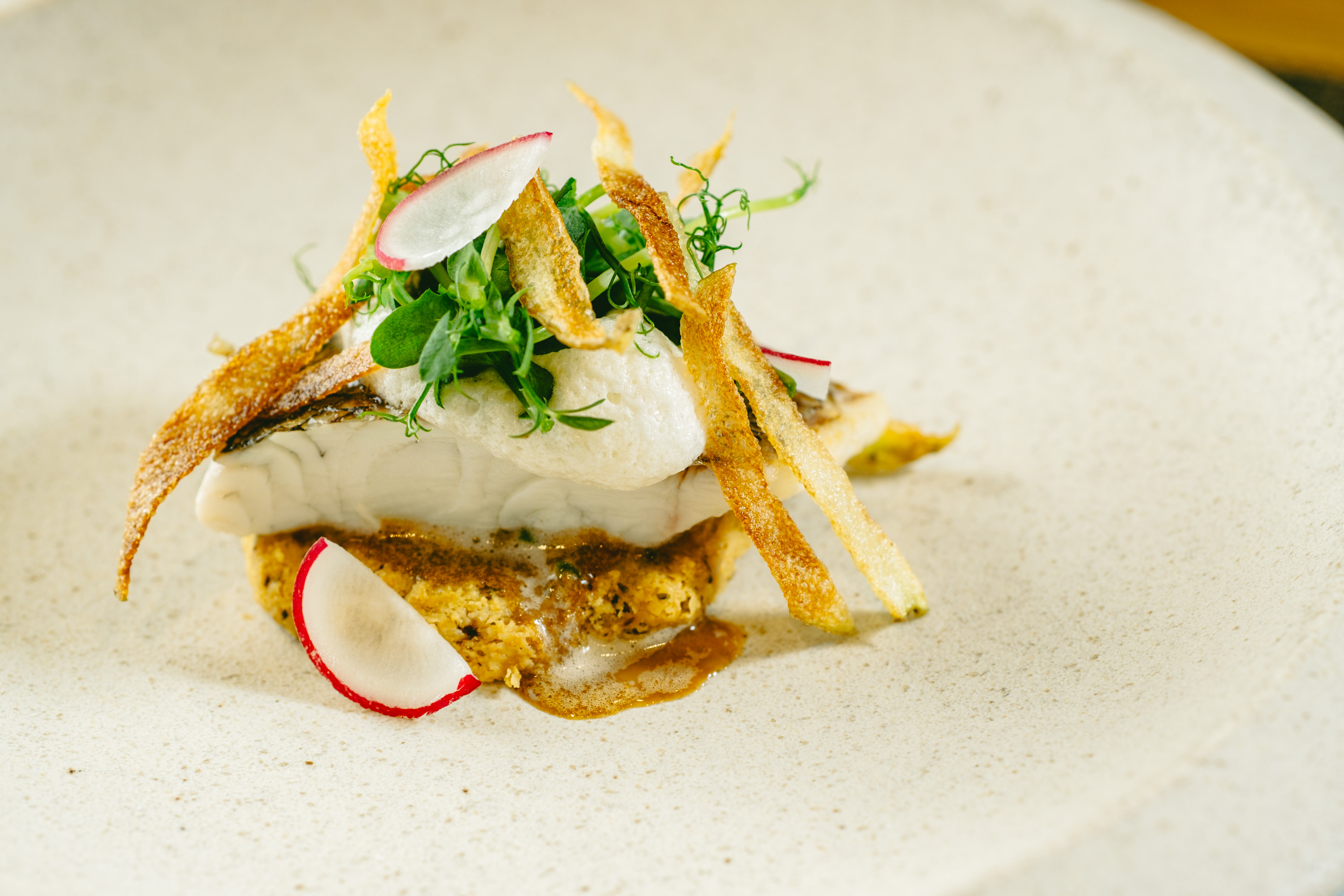 <2026年3月～5月>下萌