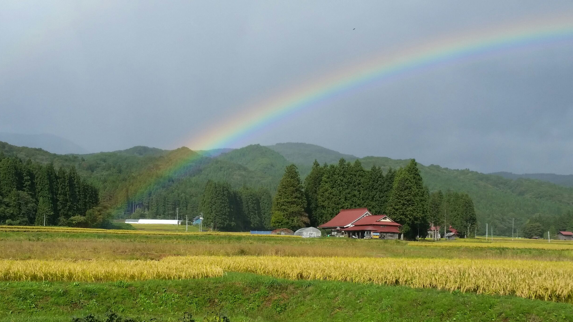 *【かみくら周辺の景色：秋】かみくらに向かう道中。付近は山間故、虹に出会うことも珍しくありません